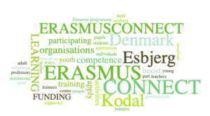 ERASMUS CONNECT LOGO